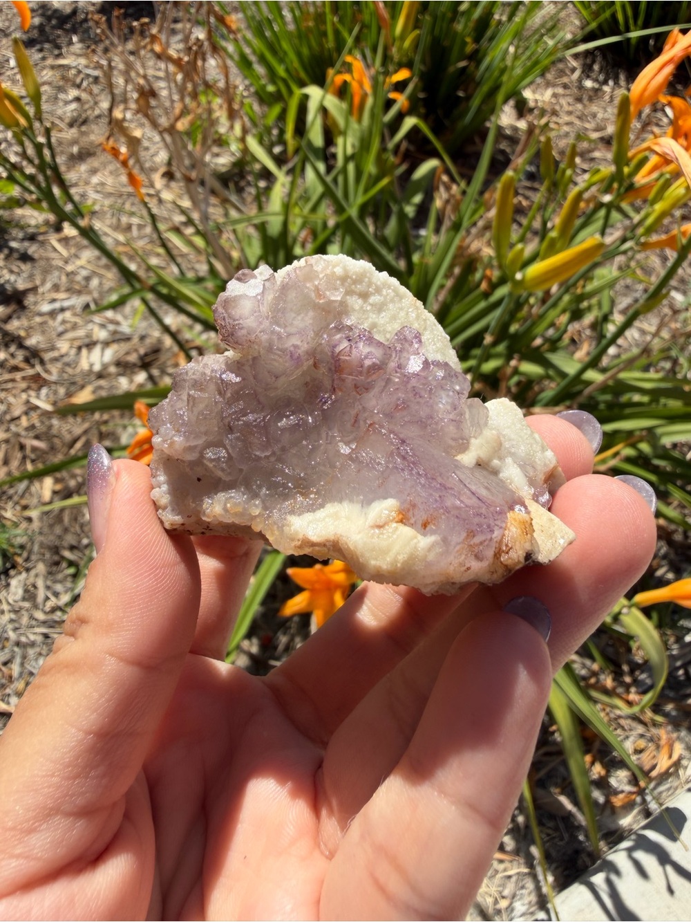 Natural Purple Edge Fluorite Cluster,Cubic Fluorite Crystal on Matrix,A590
